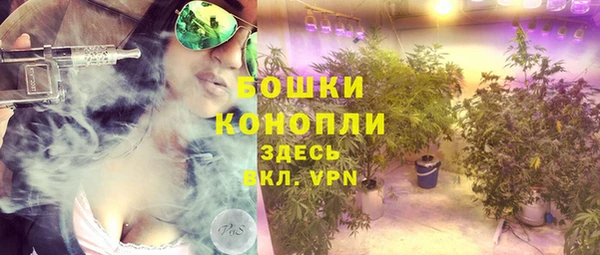 МДПВ Верхний Тагил